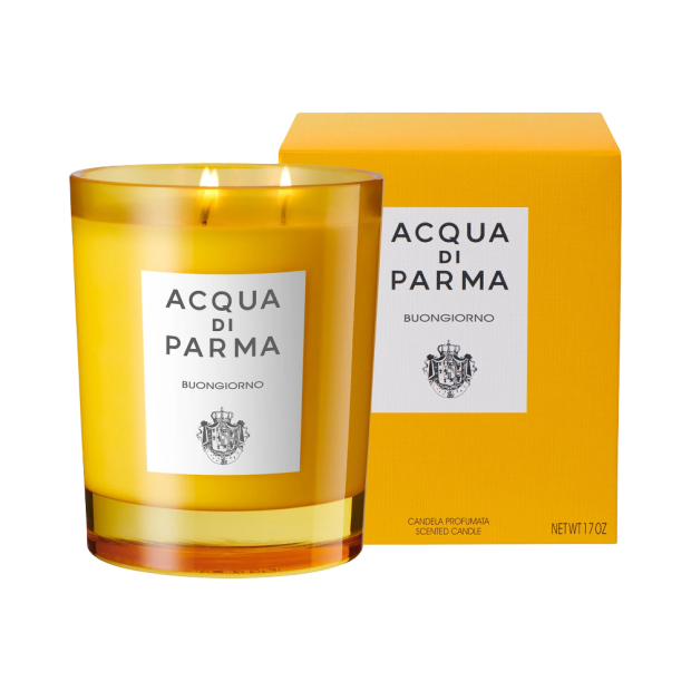 CNF-000242
